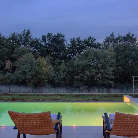 Charming Tartufo With Private Pool Near Pula Villa *